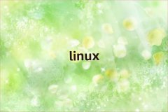 Linuxѵ