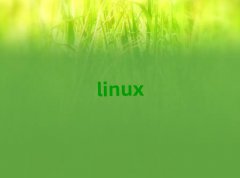 ¹ļLinuxƼܹʦѧУ