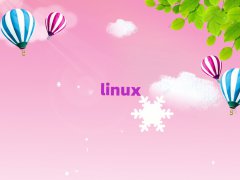 LinuxƼרҵѵѧУ