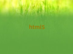 ѧhtml5ʮ