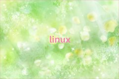 ѧLinuxƼܹʦ10