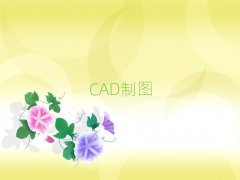 ƽCADѵ