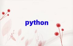 ߺ´ֵPython