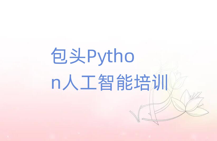 2024ͷPython˹ѵ