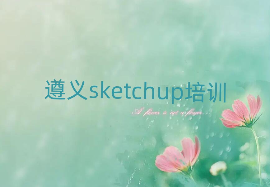 2024ѧsketchupĵطڱõ