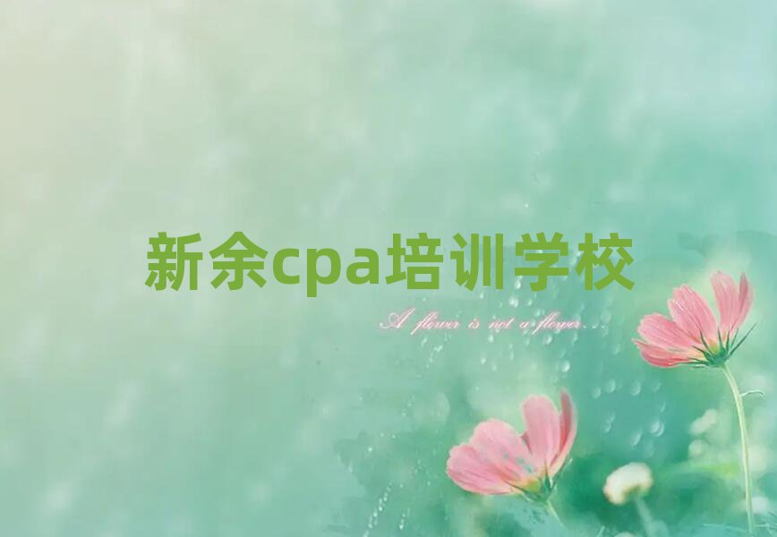 2024cpaѧϰ